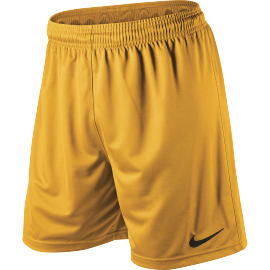 University gold 2025 nike shorts